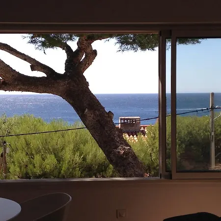 Mini Loft Jacuzzi Bord De Mer * Cassis